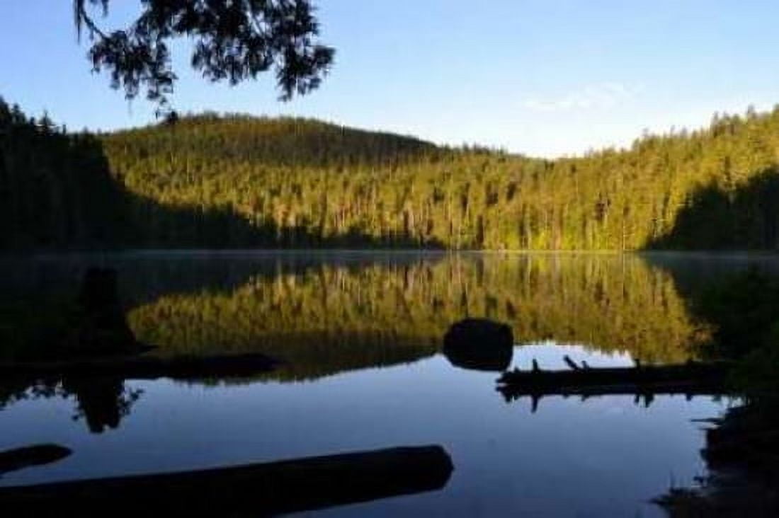Morning at the Lake IV Canvas Art - Brian Moore (24 x 36)
