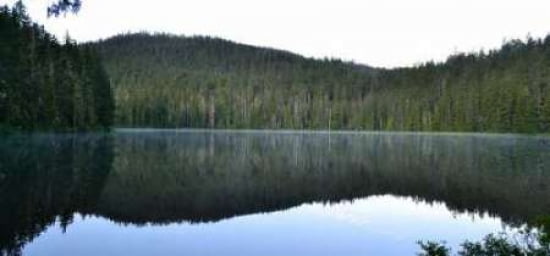 Morning at the Lake V Canvas Art - Brian Moore (24 x 48)