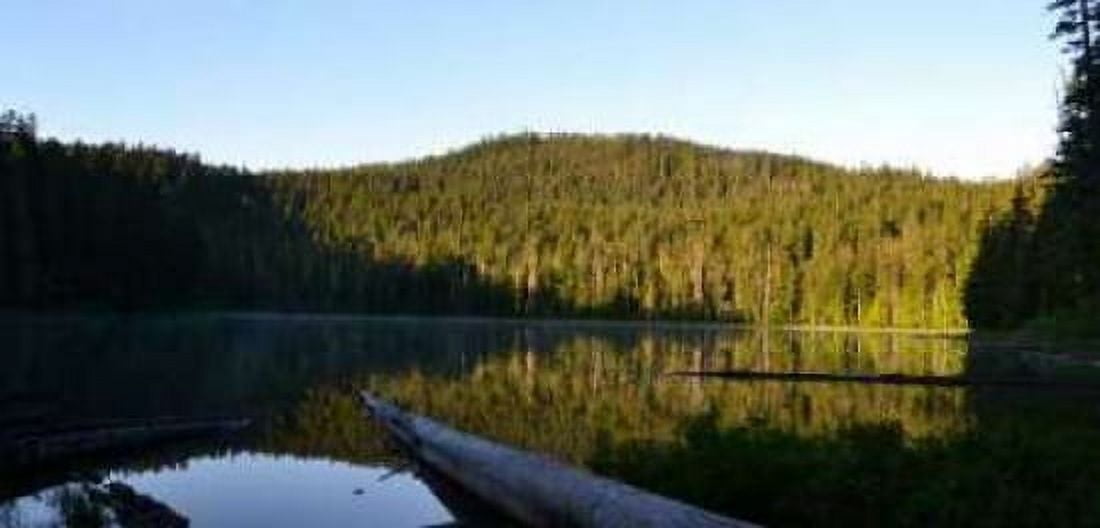 Morning at the Lake VI Canvas Art - Brian Moore (24 x 48)