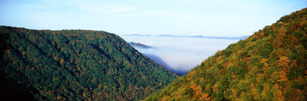 Morning fog at sunrise in autumn mountains of West Virginia in Babcock State Park Canvas Art - Panoramic Images (27 x 9)