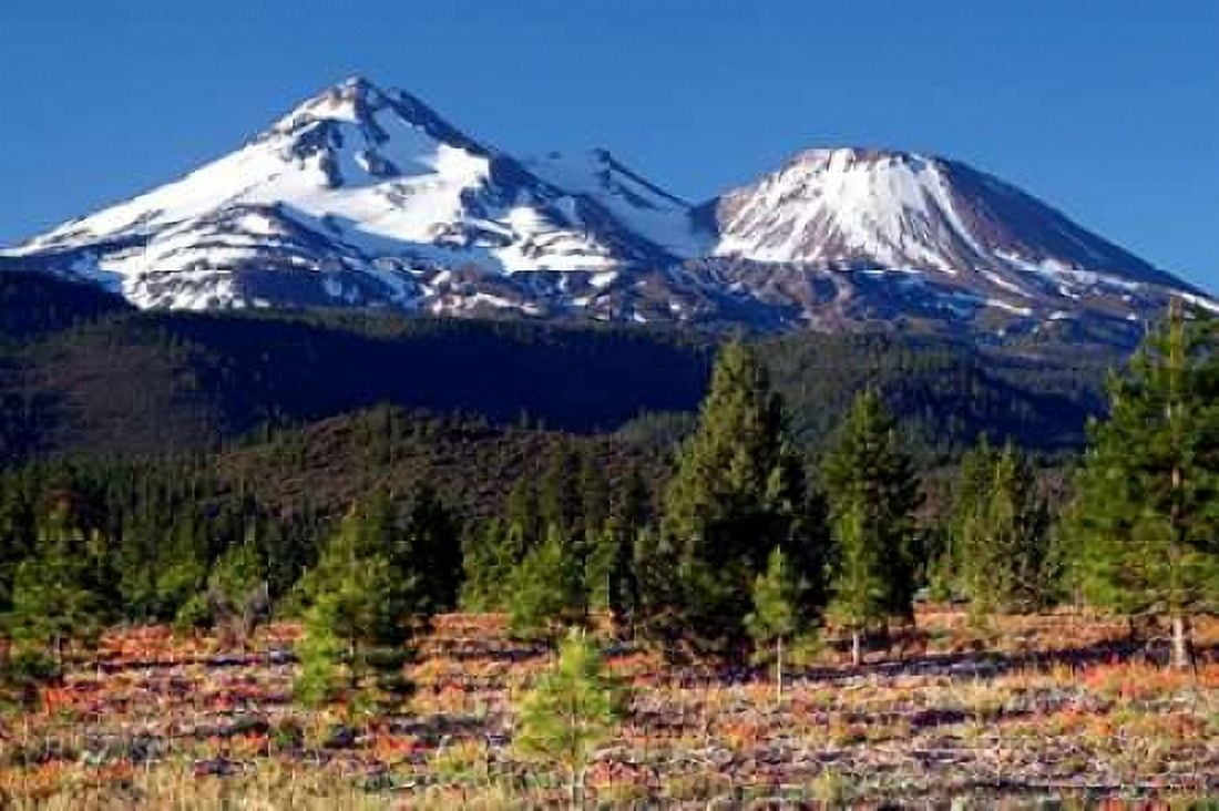 Morning in Shasta Canvas Art - Douglas Taylor (24 x 36)