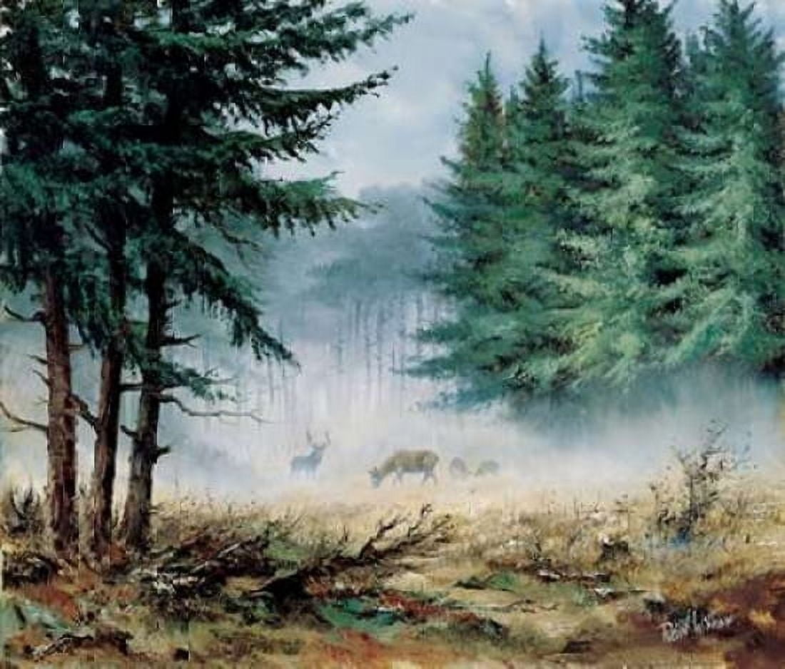Morning in mist Canvas Art - Reint Withaar (24 x 24)