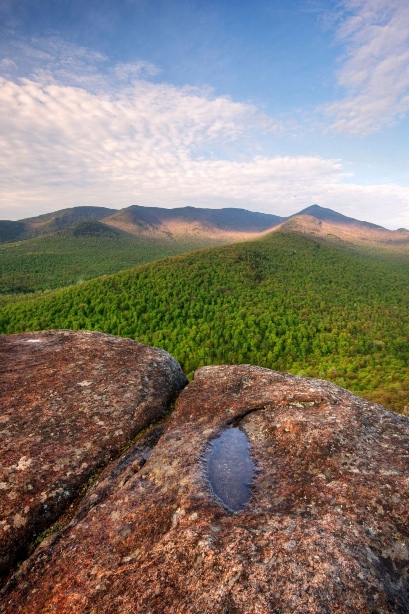 Morning light on Cascade Mountain from Owls Head Adirondack Park New York State USA Canvas Art - Panoramic Images (36 x 12)