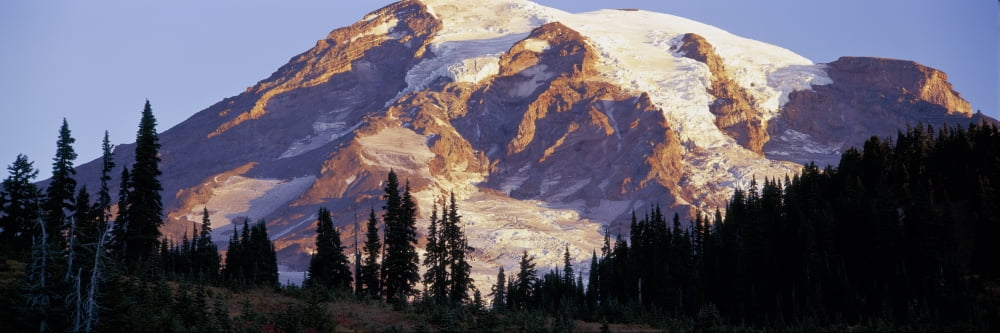 Morning light on Mt Rainier from the Paradise area Mt Rainier National Park WA Canvas Art - Panoramic Images (27 x 9)