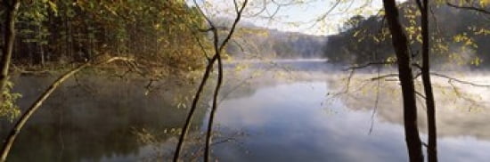 Morning mist around a lake Lake Vesuvius Wayne National Forest Ohio USA Canvas Art - Panoramic Images (36 x 12)