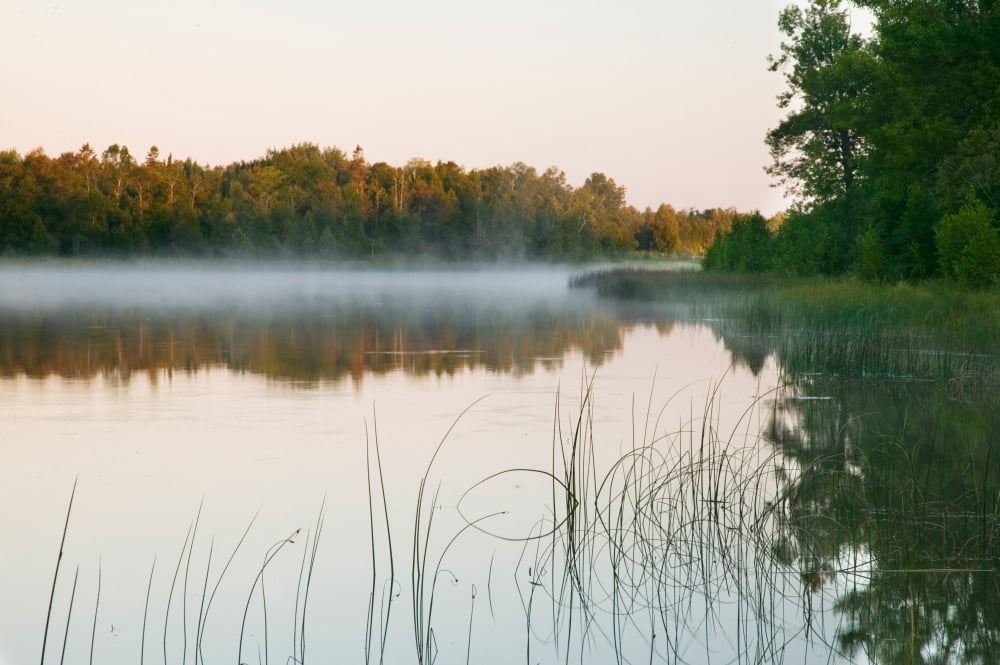 Morning mist over Mink River estuary water reflection Wisconsin USA Canvas Art - Panoramic Images (27 x 9)
