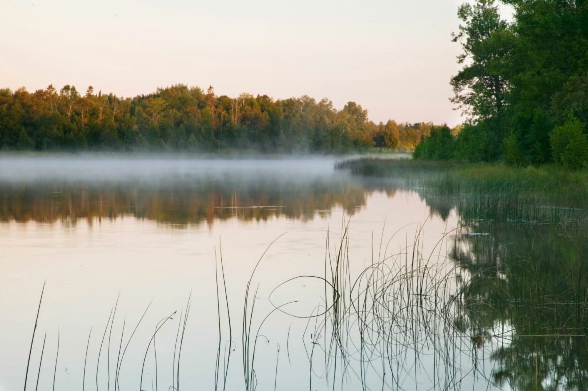 Morning mist over Mink River estuary water reflection Wisconsin USA Canvas Art - Panoramic Images (36 x 12)