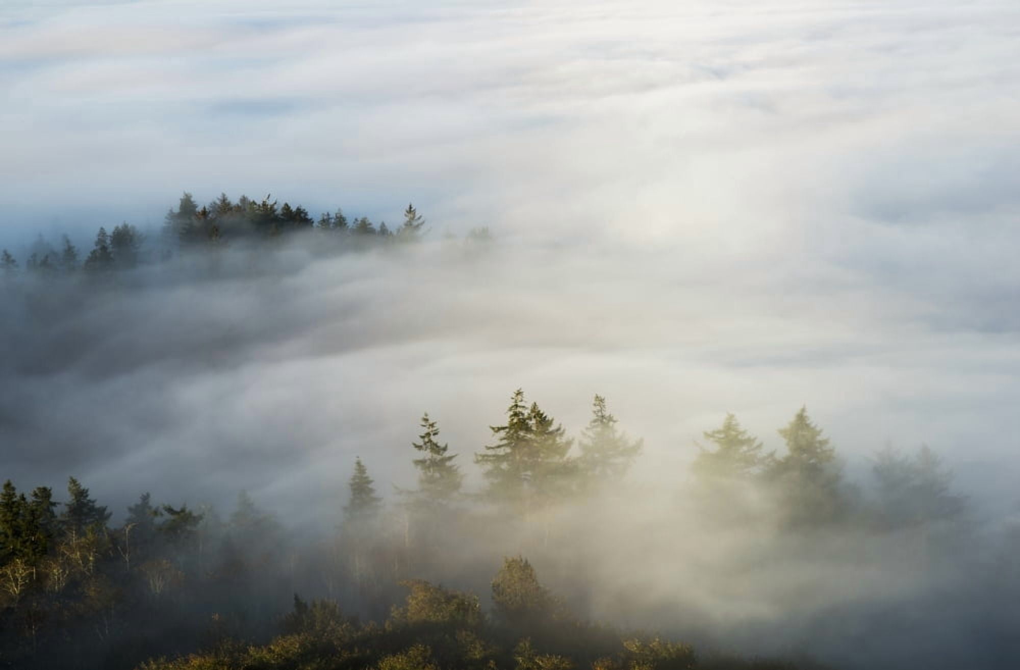 Morning sun lights up the fog Astoria Oregon United States of America Canvas Art - Robert L Potts Design Pics (19 x 12)