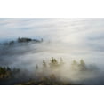 thumbnail image 1 of Morning sun lights up the fog; Astoria, Oregon, United States of America Poster Print (38 x 24), 1 of 4