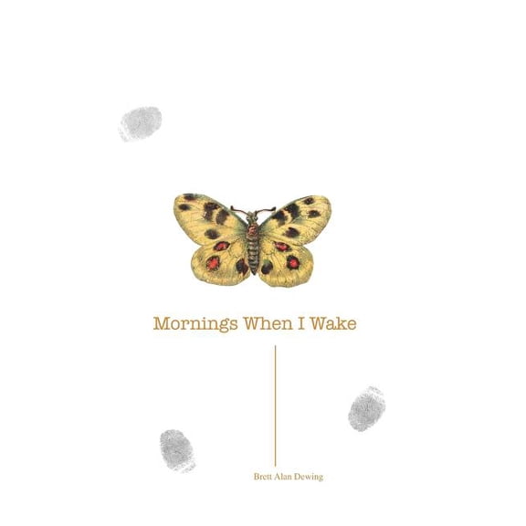 Mornings When I Wake (Paperback)