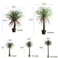 thumbnail image 1 of Moroccan Artificial Palm Tree, 1 of 11