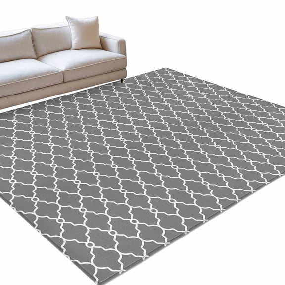 Moroccan Check Area Rugs 4x6ft Grey White Geometric Abstract Lines Modern Washable Rug, Non Slip Indoor Carpet Absorbent Floor Mat for Living Room Bedroom Dining Room