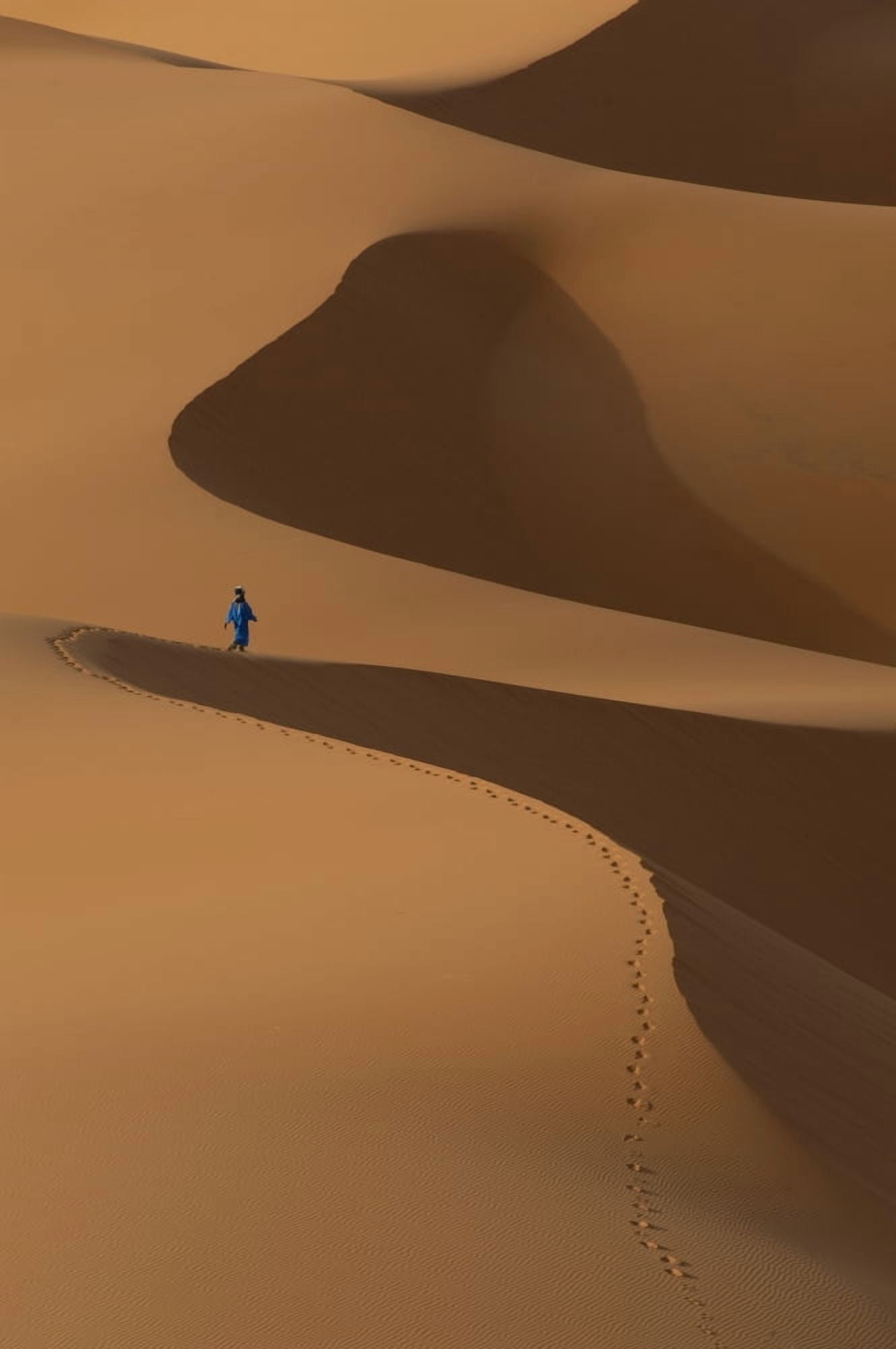 Morocco Berber Blue man walking across sand dunes in Erg Chebbi area Sahara Desert near Merzouga Canvas Art - Ian Cumming  Design Pics (12 x 19)