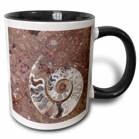 3drose, Morocco, Erfoud. Details of Ammonites, and Other Fossils., 11oz Two-tone Black Mug