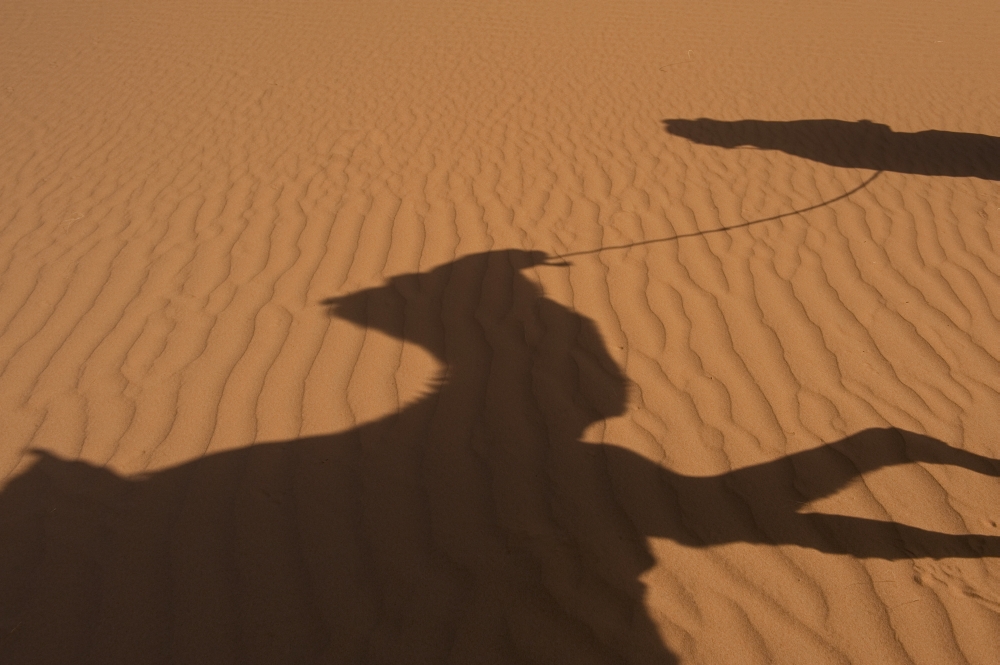 Morocco Erg Chebbi area Sahara Desert near Merzouga Shadow of Berber Blue man leading camel across sand dunes Canvas Art - Ian Cumming Design Pics (38 x 24)