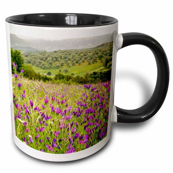 3drose, Morocco, Ifrane, Purple Spring Wild Flowers Bloom., 11oz Two-tone Black Mug