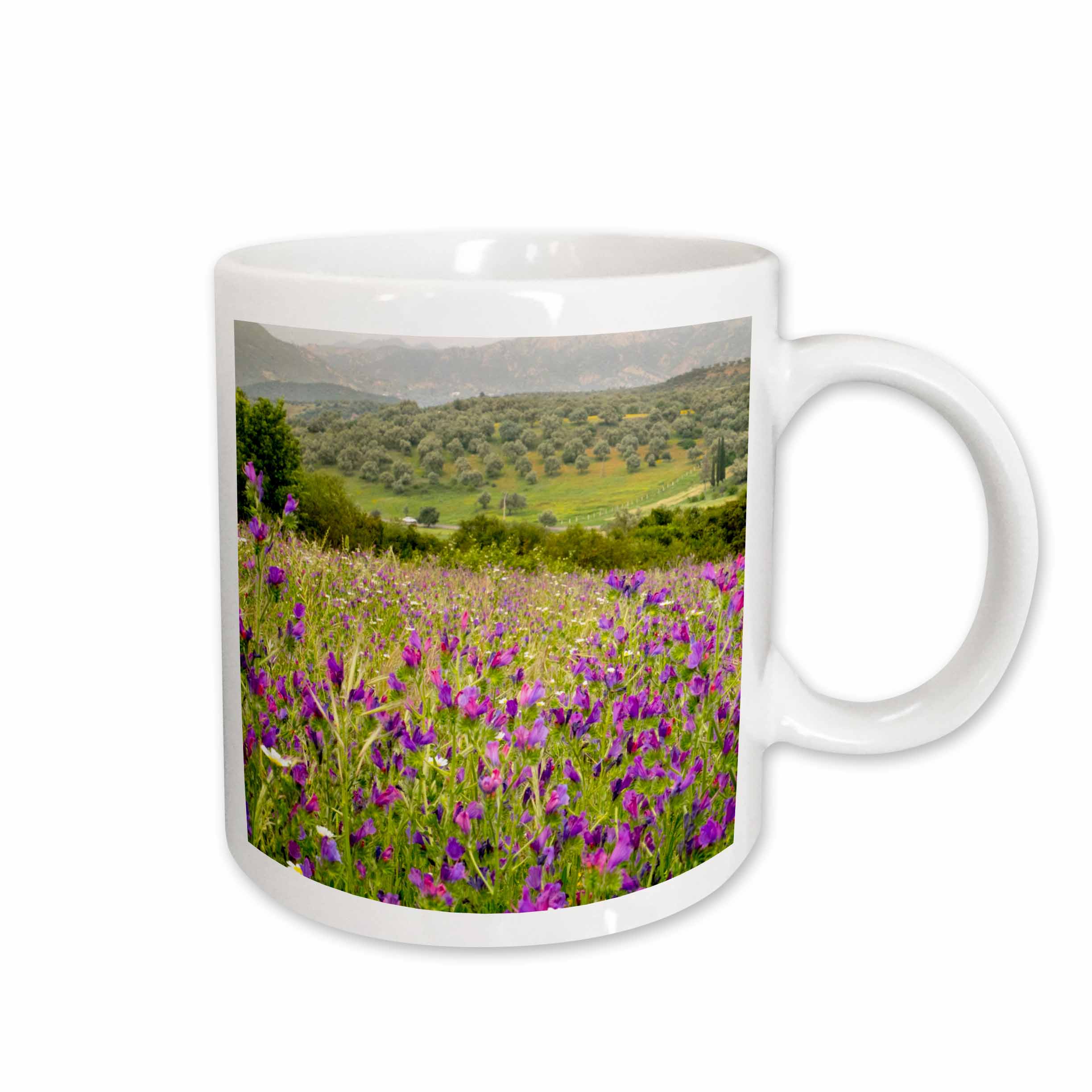 Ifrane Spring 3drose, Morocco, Ifrane, Purple Spring Wild Flowers Bloom., 15oz Mug ...