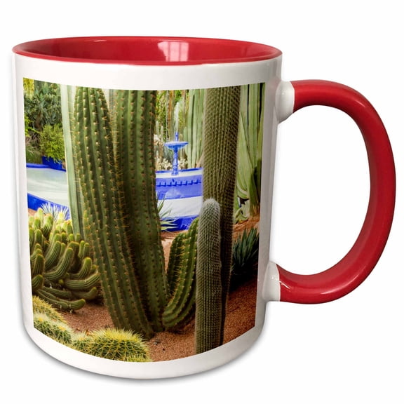 3drose, Morocco, Marrakech, Cactus and Succulents., 11oz Two-tone Red Mug