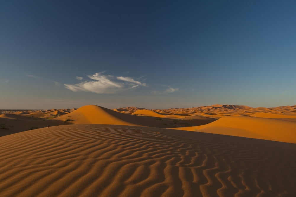Morocco Sand dune at dusk near Merzouga in Sahara Desert Erg Chebbi area Canvas Art - Ian Cumming Design Pics (38 x 24)