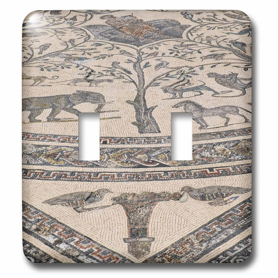 3dRose, Morocco, mosaic tile floor in Volubilis Roman ruins., double toggle switch