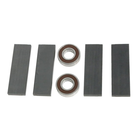 Moroso Service Kit for #22642 Vacuum Pump