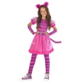 thumbnail image 1 of Morph Morph Pink Cat Costume for Girls - Striped Kids Halloween Costume - Purple Cat Outfit for Dress up Fun Halloween Costume for Girl Pink 10-12 Years, 1 of 4