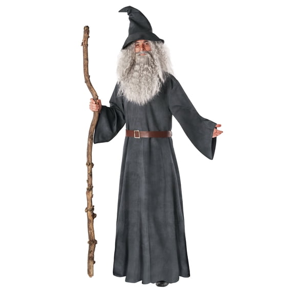 Morph Wizard Robes Grey Men Costume Halloween Costume for Men Gray X-Large
