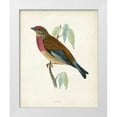 thumbnail image 1 of Morris 12x14 White Modern Wood Framed Museum Art Print Titled - Morris Linnet, 1 of 4