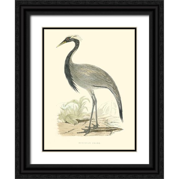 Morris 19x24 Black Ornate Wood Framed with Double Matting Museum Art Print Titled - Small Morris Crane II
