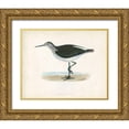 thumbnail image 1 of Morris 32x26 Gold Ornate Wood Framed with Double Matting Museum Art Print Titled - Morris Sandpiper VI, 1 of 4