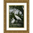 thumbnail image 1 of Morris, Arthur 11x14 Gold Ornate Wood Framed with Double Matting Museum Art Print Titled - FL Great egret parent in nest with chick, 1 of 4
