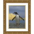 thumbnail image 1 of Morris, Arthur 11x14 Gold Ornate Wood Framed with Double Matting Museum Art Print Titled - South Georgia Isl, Stromess Bay Gentoo penguin, 1 of 4
