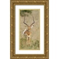 thumbnail image 1 of Morris, Arthur 11x18 Gold Ornate Wood Framed with Double Matting Museum Art Print Titled - Kenya, Masai Mara Impala wagging tail, 1 of 4