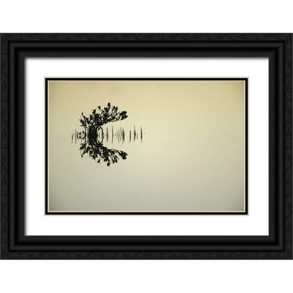 Morris, Arthur 14x11 Black Ornate Wood Framed with Double Matting Museum Art Print Titled - FL, Titusvulle, Merritt Island NWR Mangrove