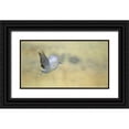 thumbnail image 1 of Morris, Arthur 14x9 Black Ornate Wood Framed with Double Matting Museum Art Print Titled - New Mexico Abstract of sandhill crane running, 1 of 4