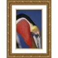 thumbnail image 1 of Morris, Arthur 17x24 Gold Ornate Wood Framed with Double Matting Museum Art Print Titled - CA, La Jolla Brown pelican in breeding plumage, 1 of 4