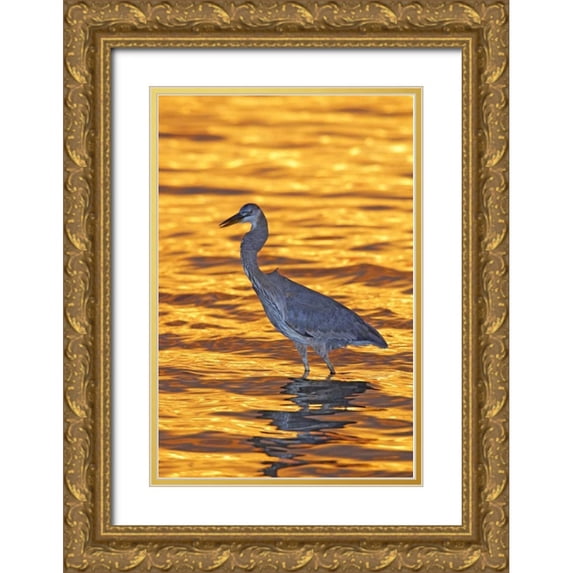 Morris, Arthur 17x24 Gold Ornate Wood Framed with Double Matting Museum Art Print Titled - FL, Fort De Soto Park Great blue heron at sunset