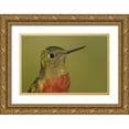 thumbnail image 1 of Morris, Arthur 18x13 Gold Ornate Wood Framed with Double Matting Museum Art Print Titled - Ecuador Chestnut-breasted coronet bird, 1 of 4