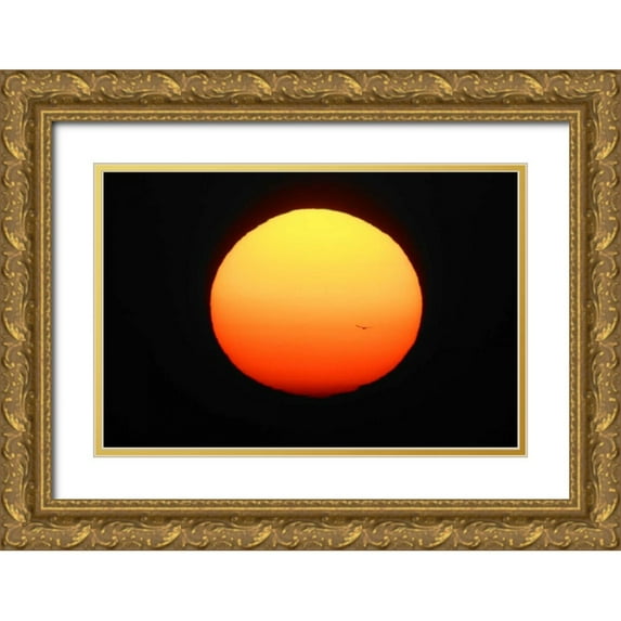 Morris, Arthur 18x13 Gold Ornate Wood Framed with Double Matting Museum Art Print Titled - FL, Ft Myers Silhouette of bird flying