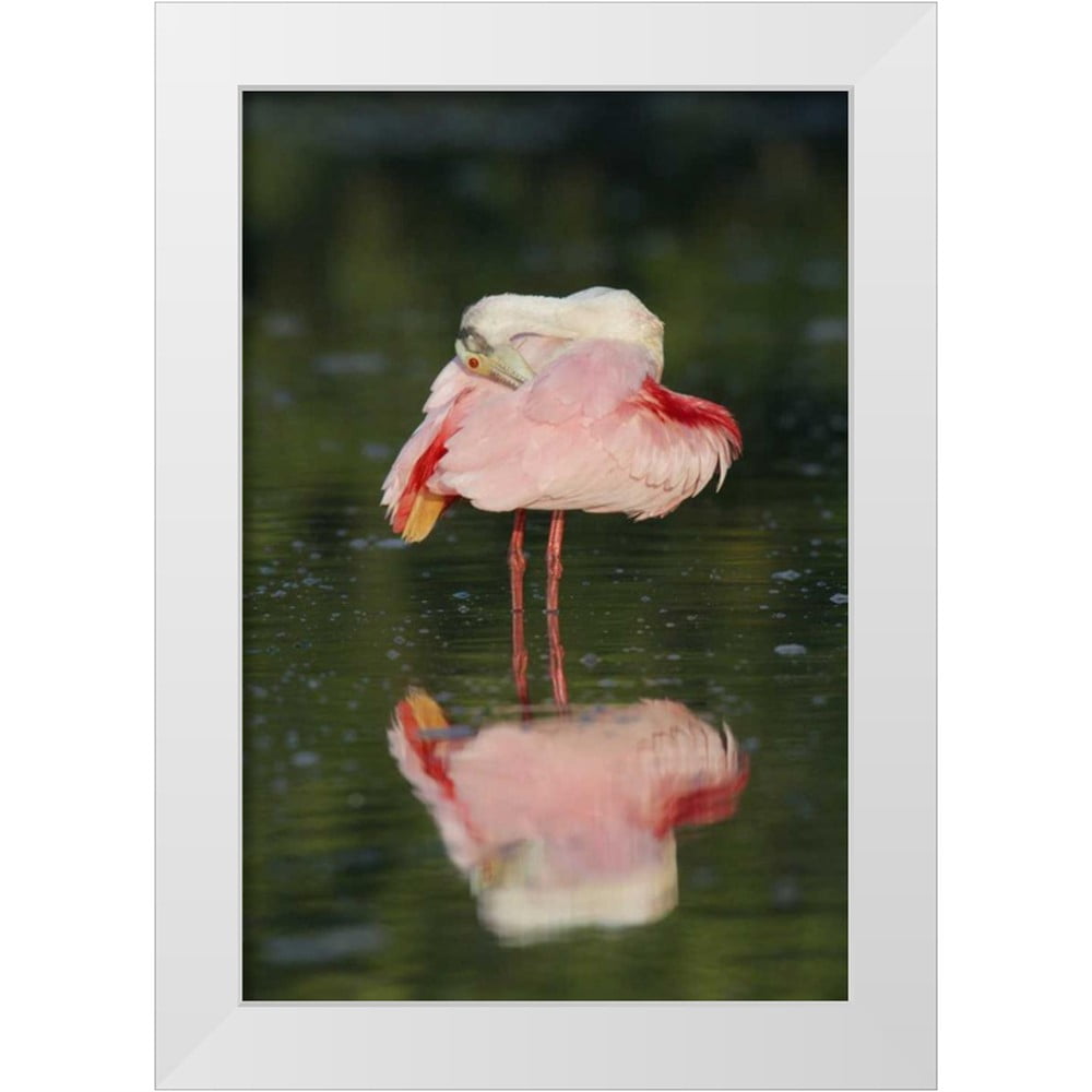 Morris, Arthur 23x32 White Modern Wood Framed Museum Art Print Titled ...