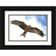 thumbnail image 1 of Morris, Arthur 24x17 Black Ornate Wood Framed with Double Matting Museum Art Print Titled - Tanzania Detail of yellow-billed kite in flight, 1 of 4