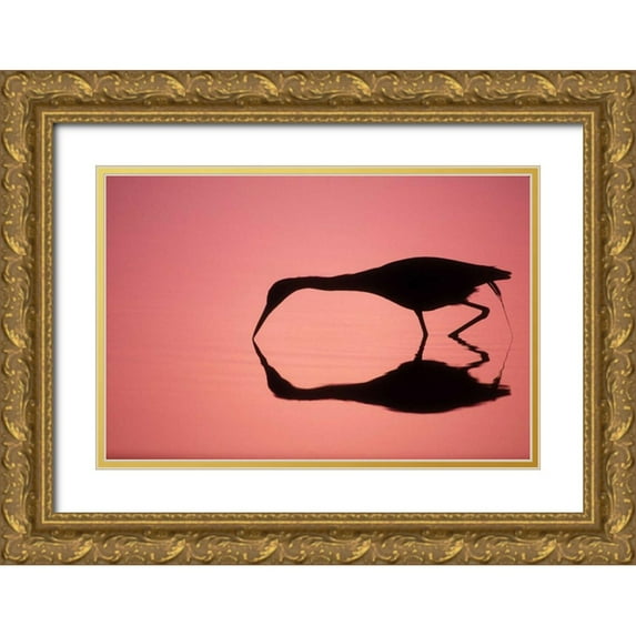 Morris, Arthur 24x17 Gold Ornate Wood Framed with Double Matting Museum Art Print Titled - FL, Ding Darling NWR Little blue heron