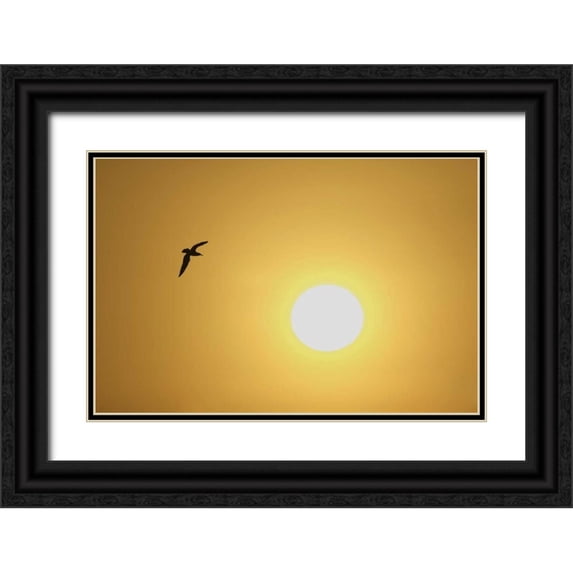 Morris, Arthur 32x23 Black Ornate Wood Framed with Double Matting Museum Art Print Titled - FL, Titusville, Ring-billed gull at sunrise