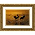 thumbnail image 1 of Morris, Arthur 32x23 Gold Ornate Wood Framed with Double Matting Museum Art Print Titled - Silhouettes of reddish egrets in mating dance, 1 of 4