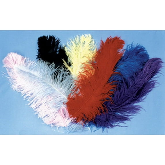 Morris Costumes BB06WT Jumbo Ostrich Plume