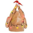 thumbnail image 1 of Morris Costumes BG20742 Christmas Turkey Hat with Light Up Costume, 1 of 1