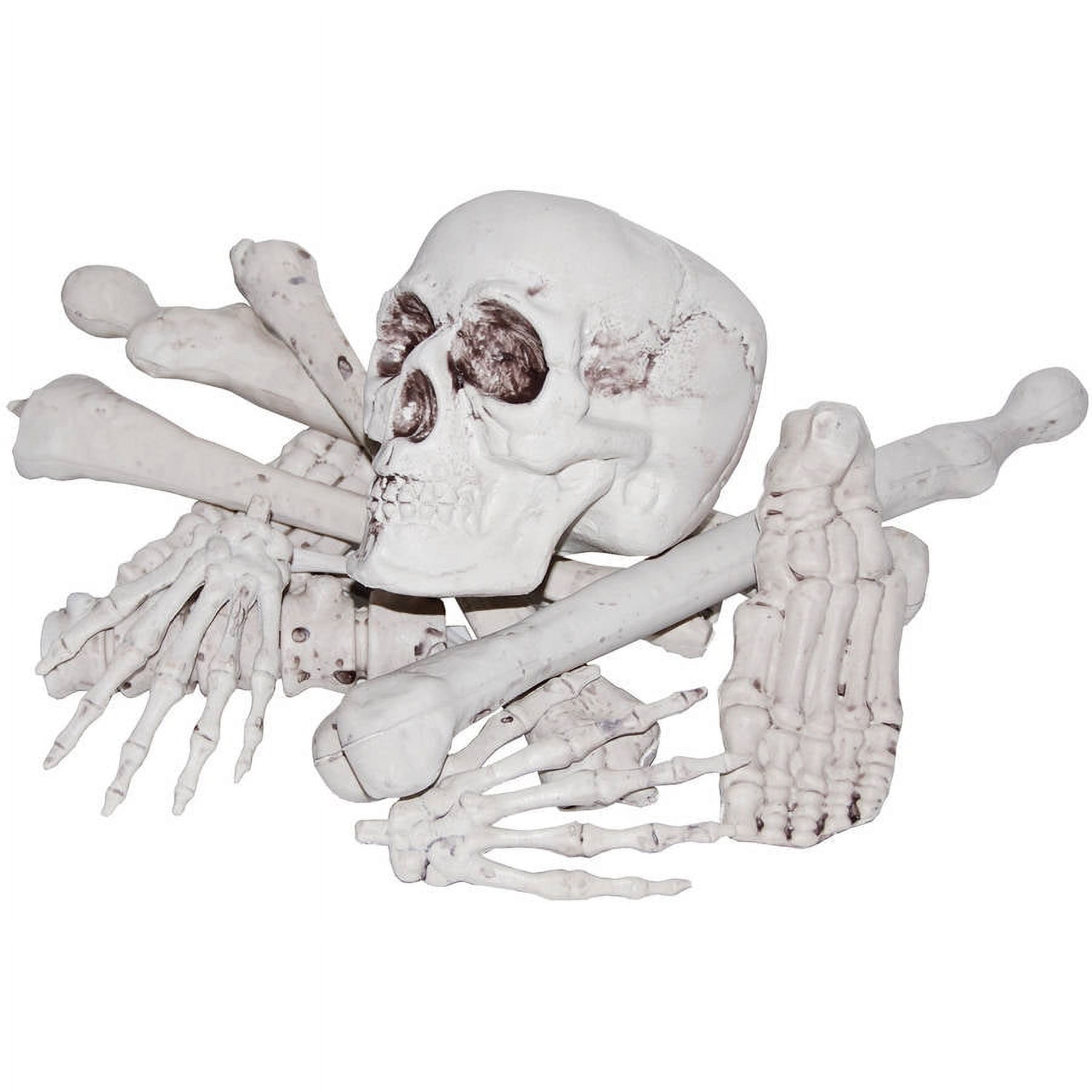 Morris Costumes Bag of Bones - image 1 of 2