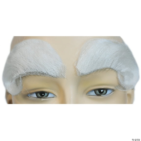 Morris Costumes LW730WT Eyebrow Santa Finest - White