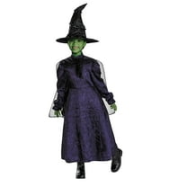 Kids Adaptive Wicked Elphaba Dress Costume - Small 4-6