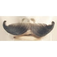 thumbnail image 1 of Morris Costumes English Mustache - Blend, 1 of 2